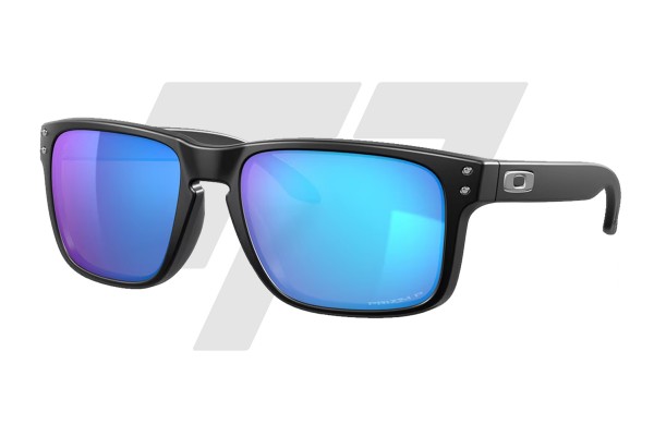 Oakley Holbrook Prizm Polarized